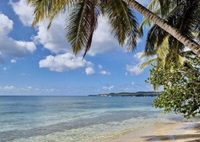 Touloukaera Appt 303 Plage Kawann Saint-Louis Eksteriør bilde