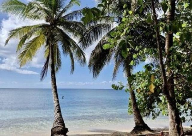 Touloukaera Appt 303 Plage Kawann Saint-Louis Eksteriør bilde
